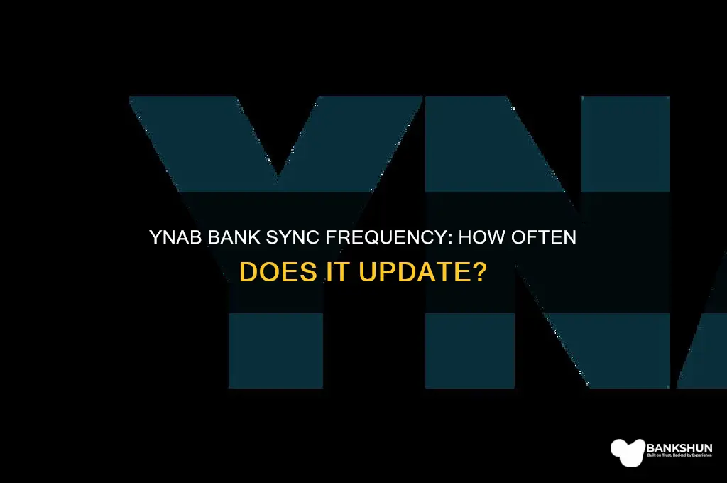 how often does ynab sync with bank