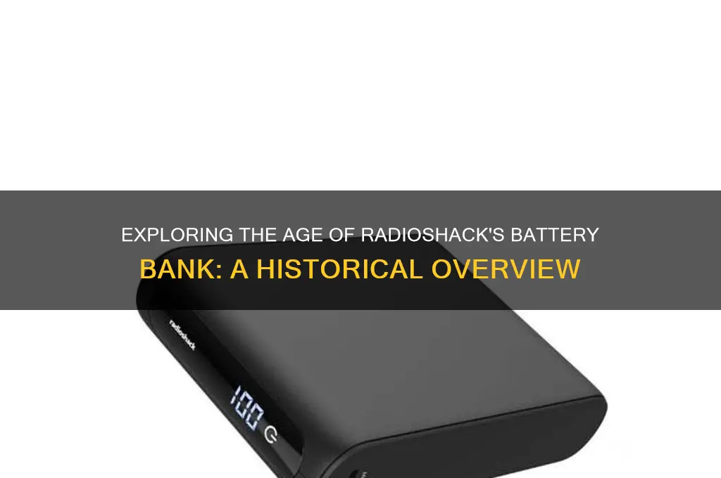 how old is the radioshack battery bank