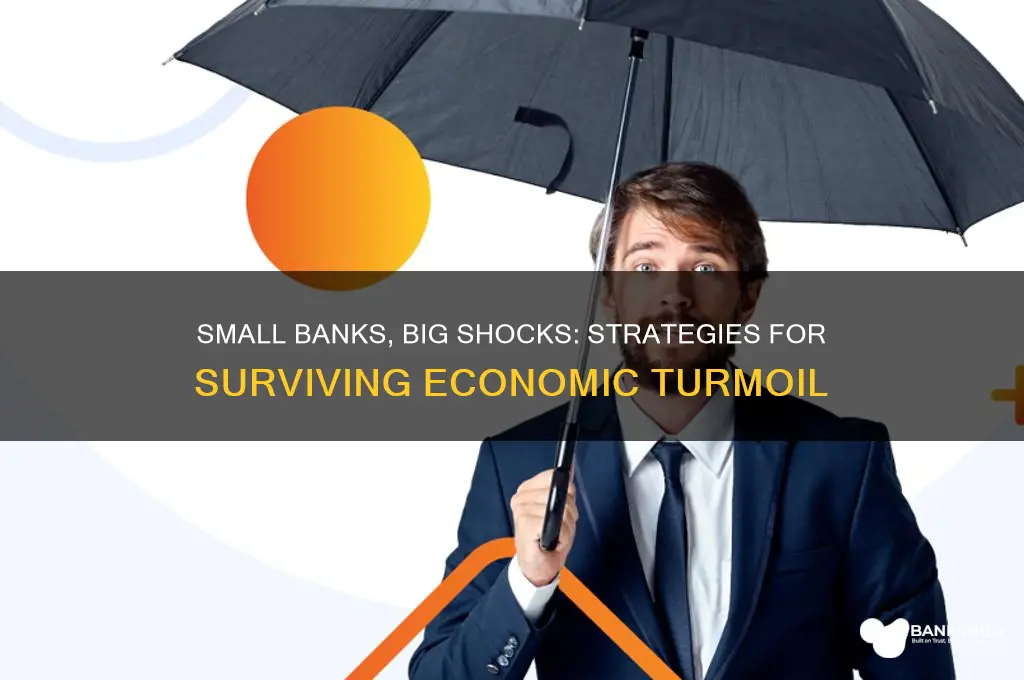how small banks deal with large shocks