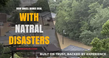 Small Banks' Resilience Strategies During Natural Disasters: A Survival Guide