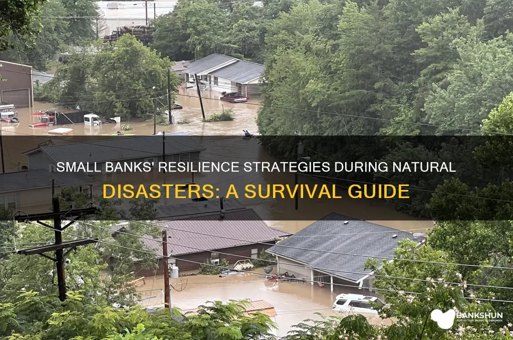 how small banks deal with natral disasters