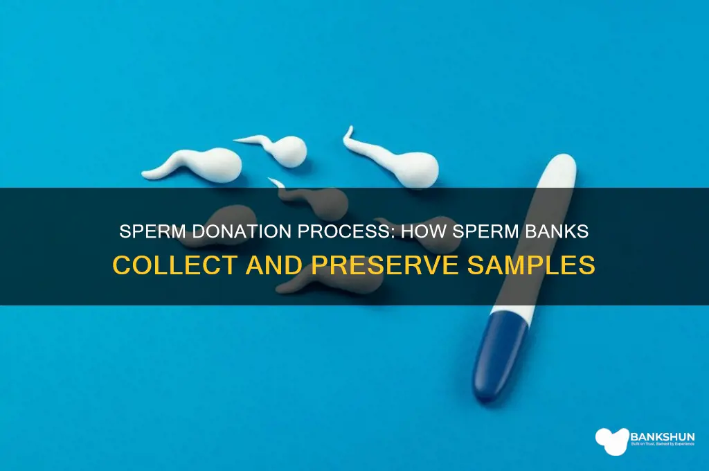 how sperm is collected in sperm bank