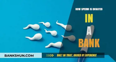 Understanding the Process of Sperm Donation at Fertility Banks