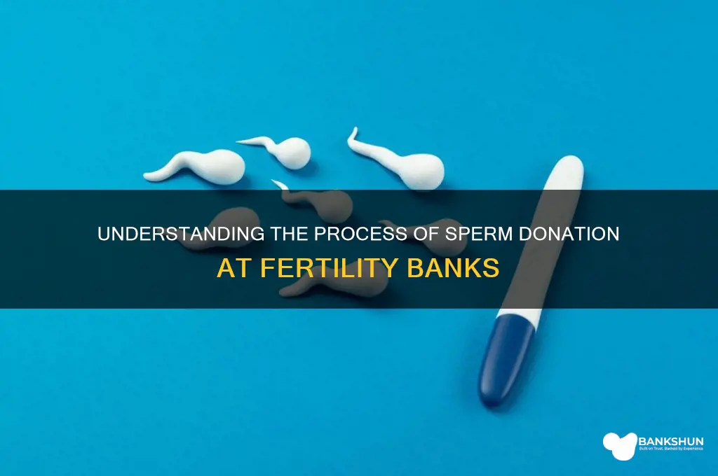 how sperm is donated in a bank