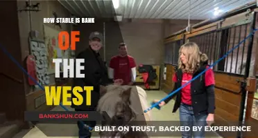 Bank of the West Stability: Assessing Financial Strength and Reliability