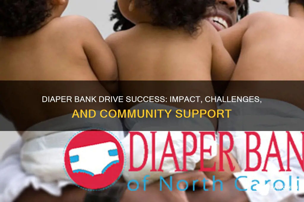 how successful is a diaper bank drive