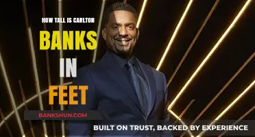 Carlton Banks' Height: Unveiling His Stature in Feet