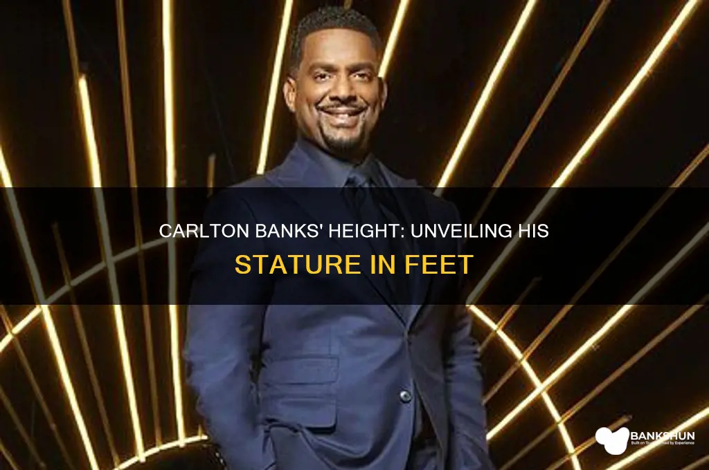 how tall is carlton banks in feet