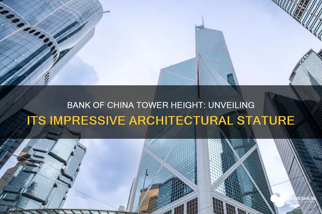 how tall is the bank of china