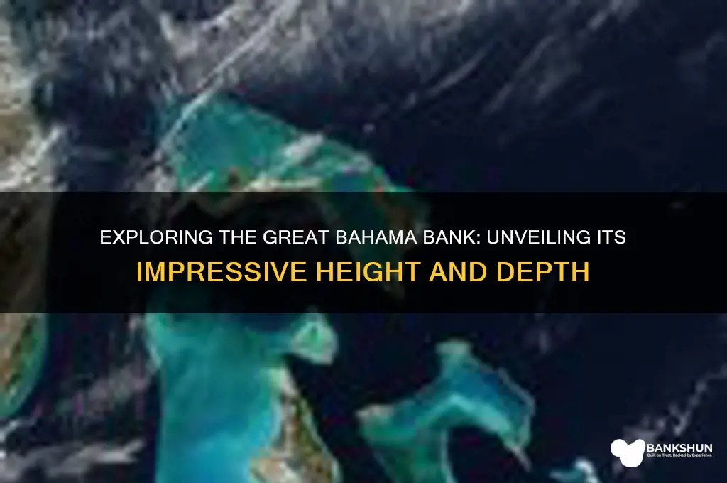 how tall is the great bahama bank