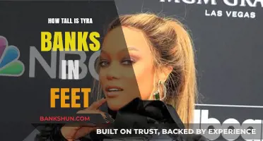 Tyra Banks' Height: How Tall is She in Feet?