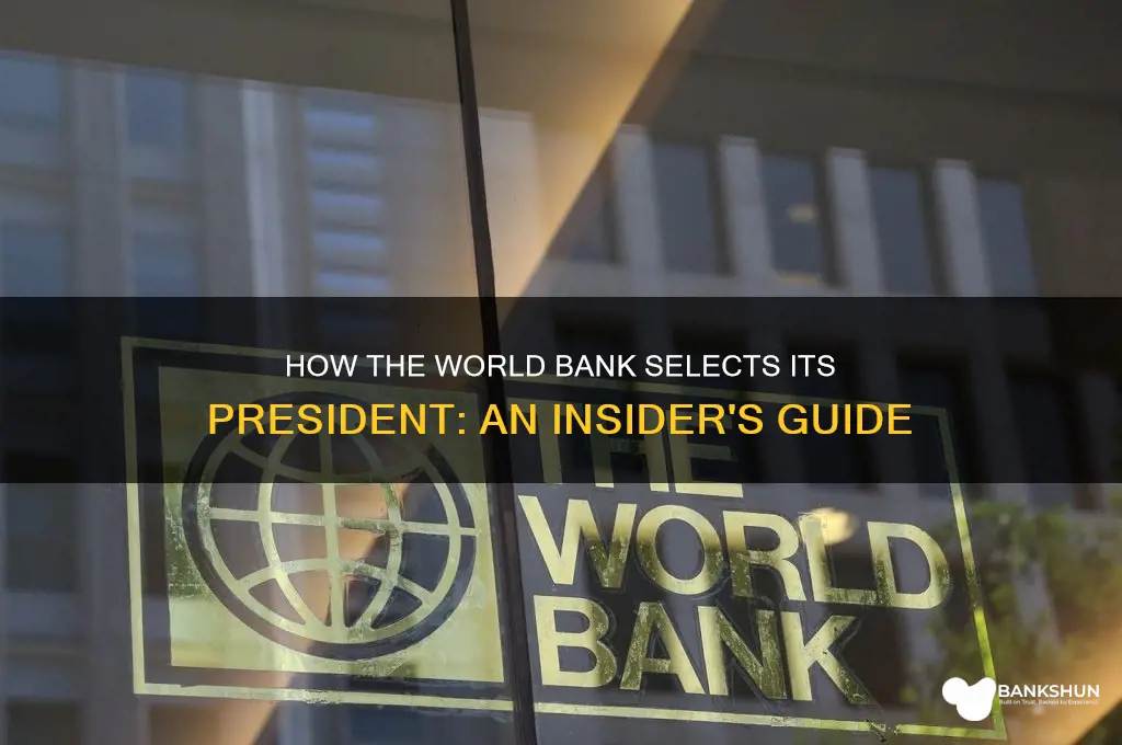 how th ewolrd bank picks its president