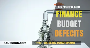 Central Banks' Role in Funding Government Budget Deficits Explained