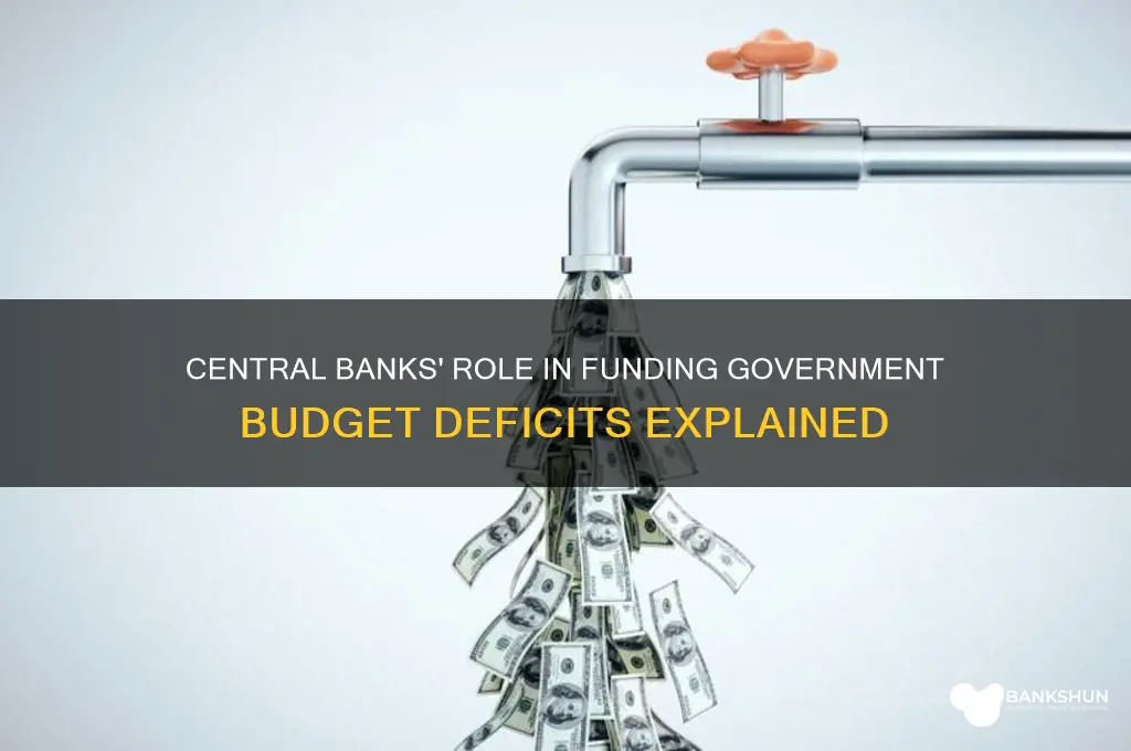 how the central banks finance budget defecits