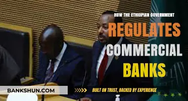 Ethiopia's Banking Oversight: How the Government Regulates Commercial Banks