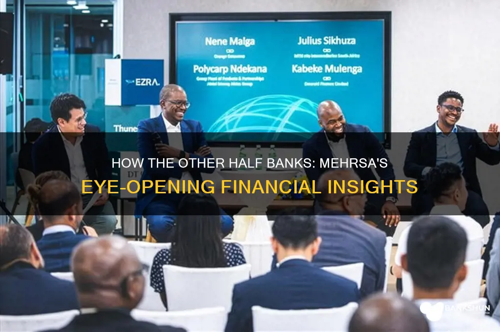how the other half banks by mehrsa