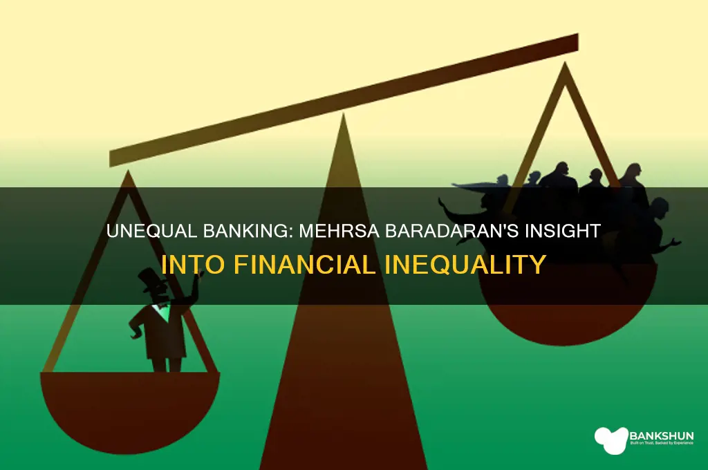 how the other half banks mehrsa baradaran