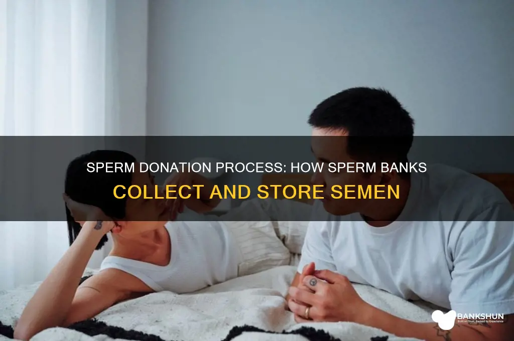how they collect cum in sperm banks