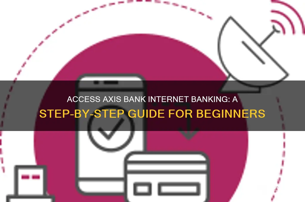 how to access axis bank internet banking