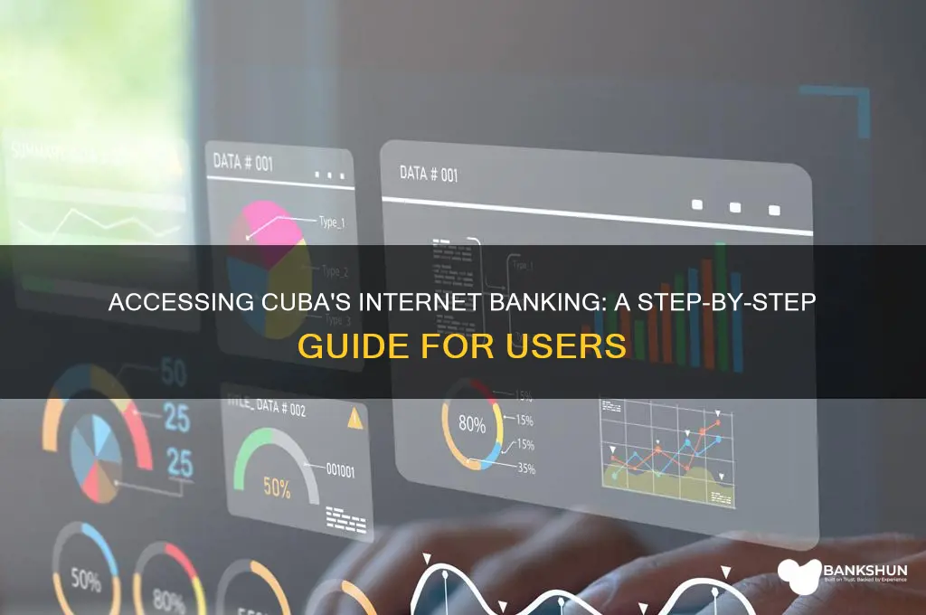 how to access internet banking in cub