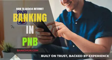 Accessing PNB Internet Banking: A Step-by-Step Guide for Beginners