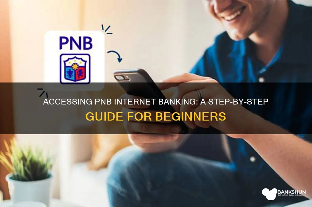 how to access internet banking in pnb