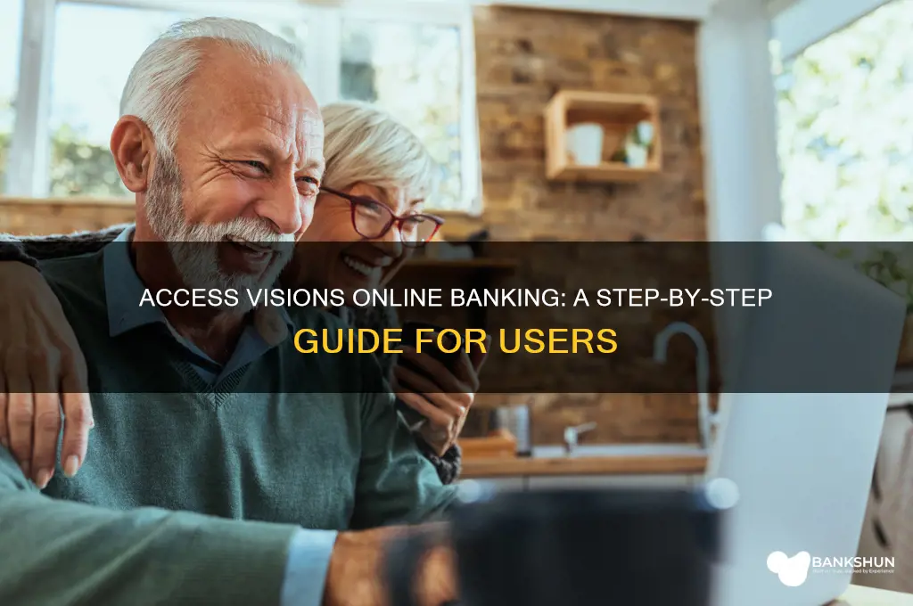 how to access visions on-line banking