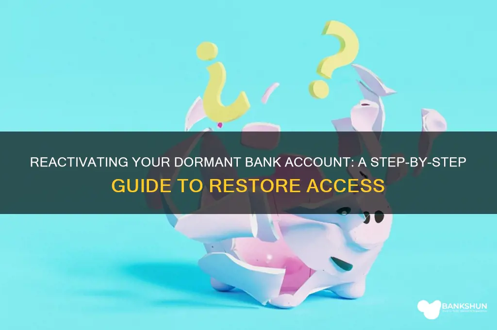 how to activate a dormanto0 bank acc