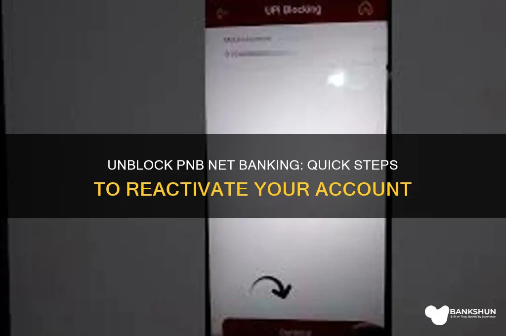 how to activate blocked pnb net banking