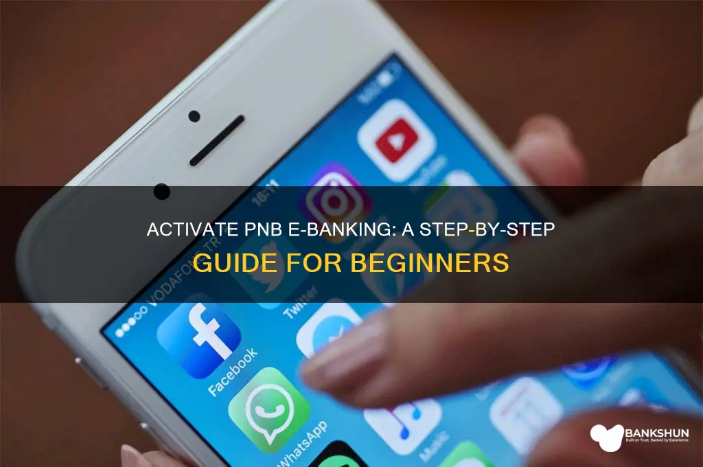 how to activate e banking in pnb