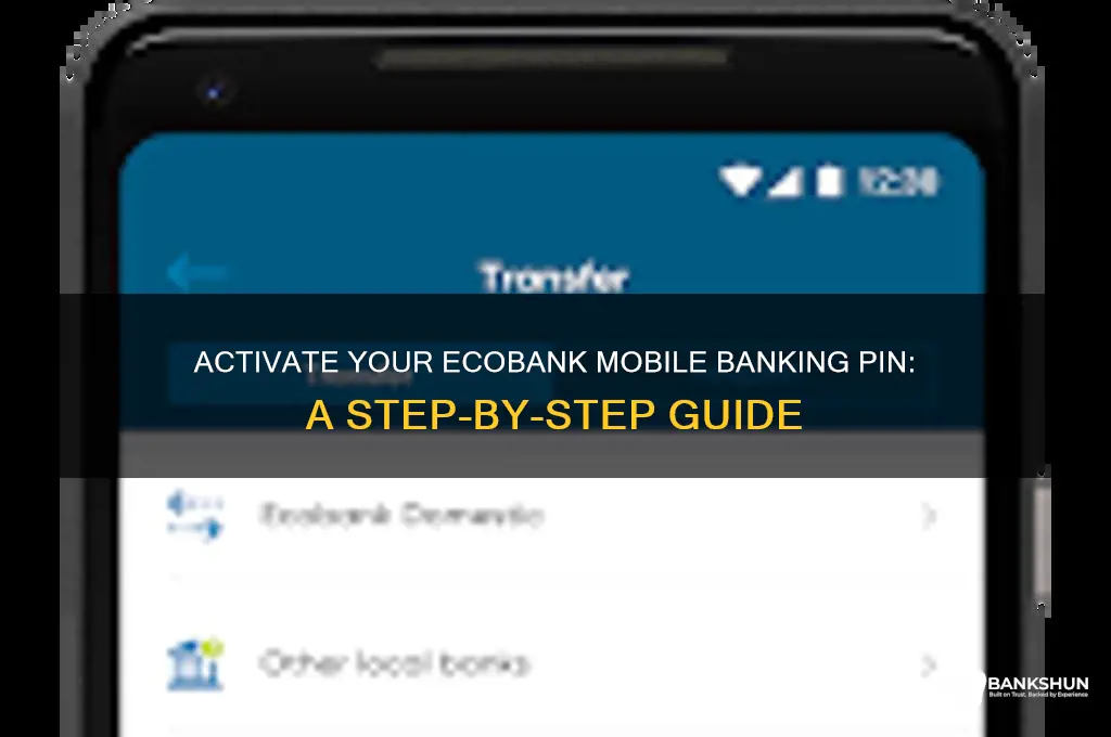 how to activate ecobank mobile banking pin