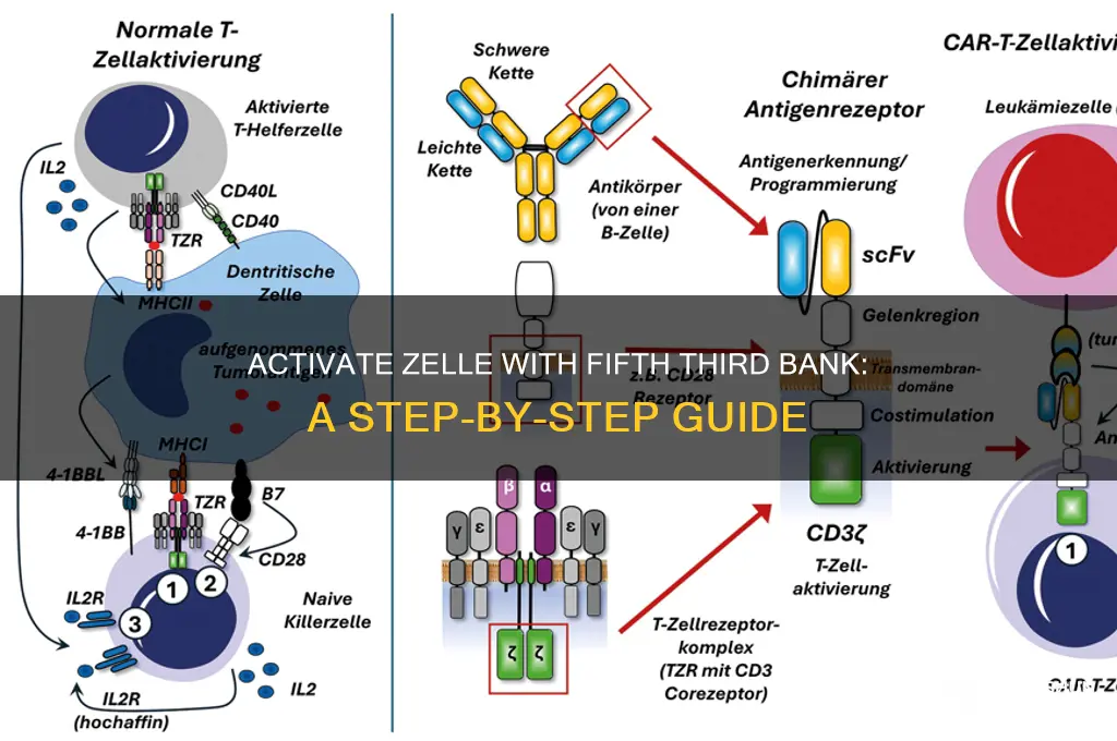how to activate zelle fifth third bank