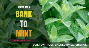 How to Add a Bank to Mint: A Step-by-Step Guide
