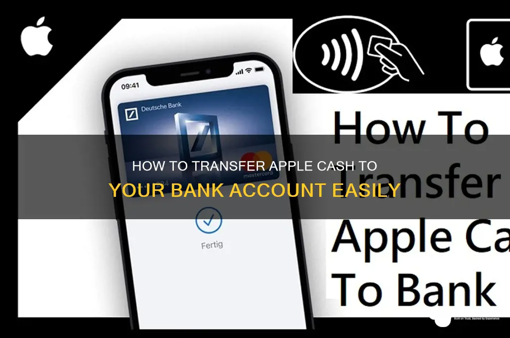 how to add apple cash to bank