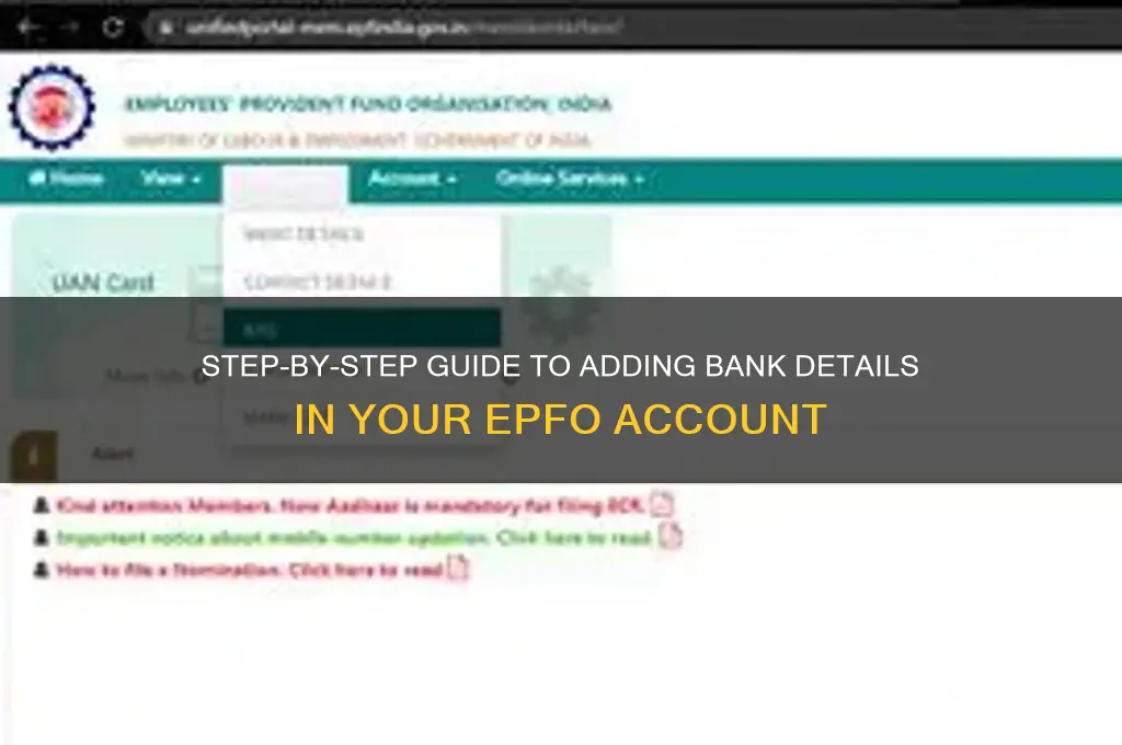 how to add bank details in epfo