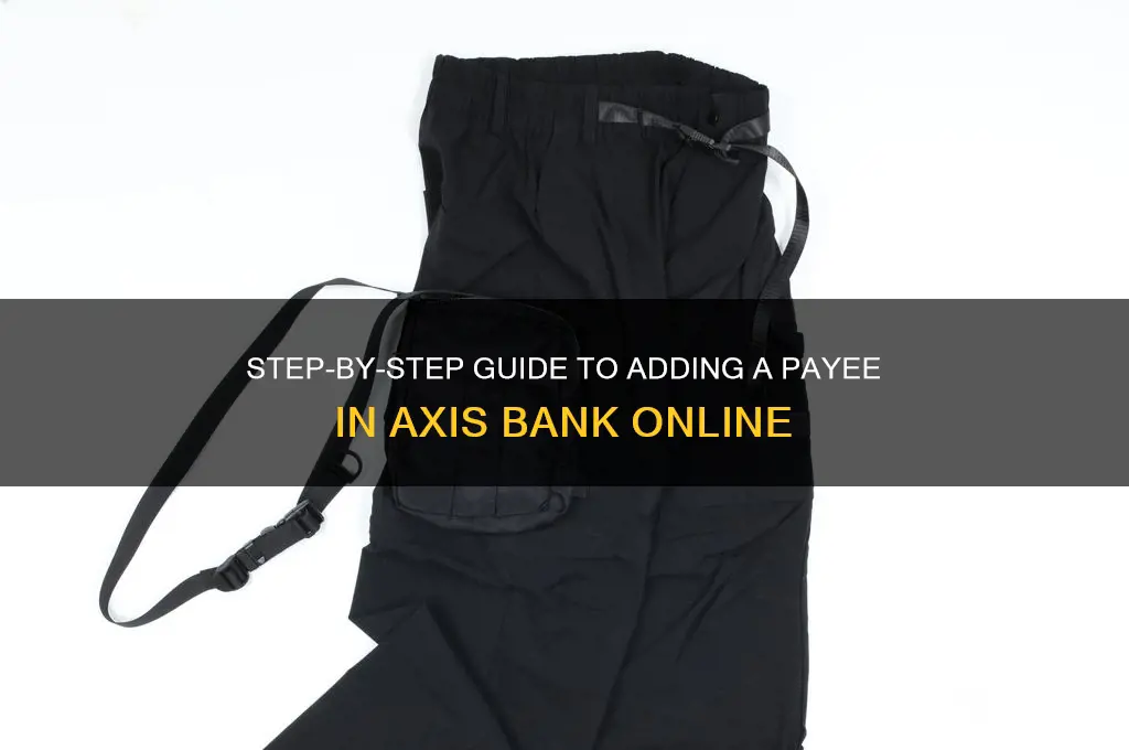 how to add payee in axis bank