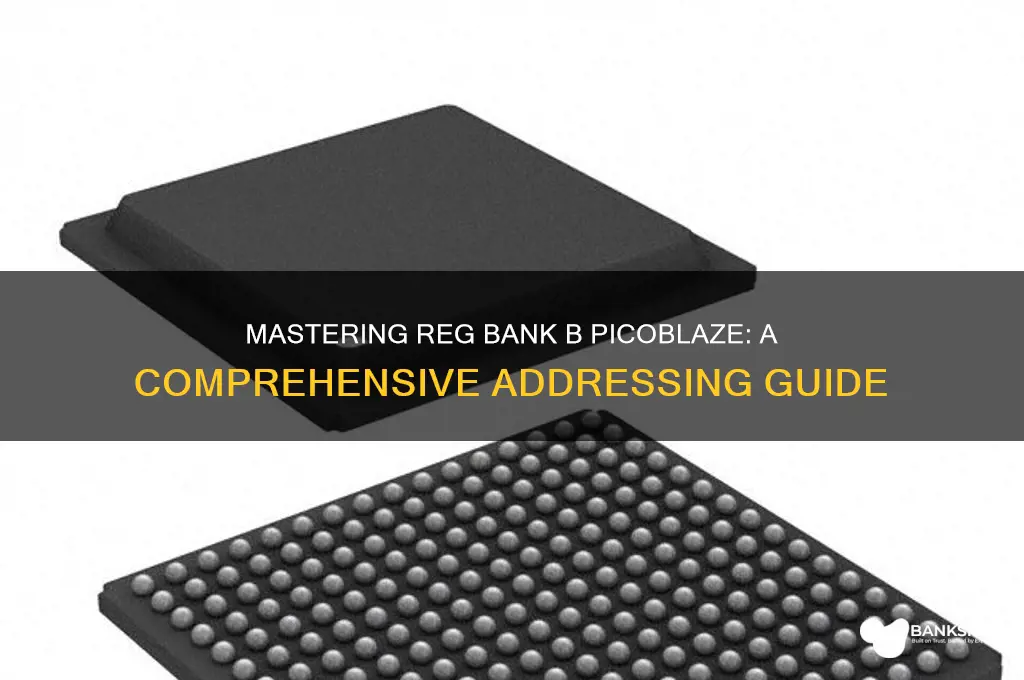 how to address reg bank b picoblaze