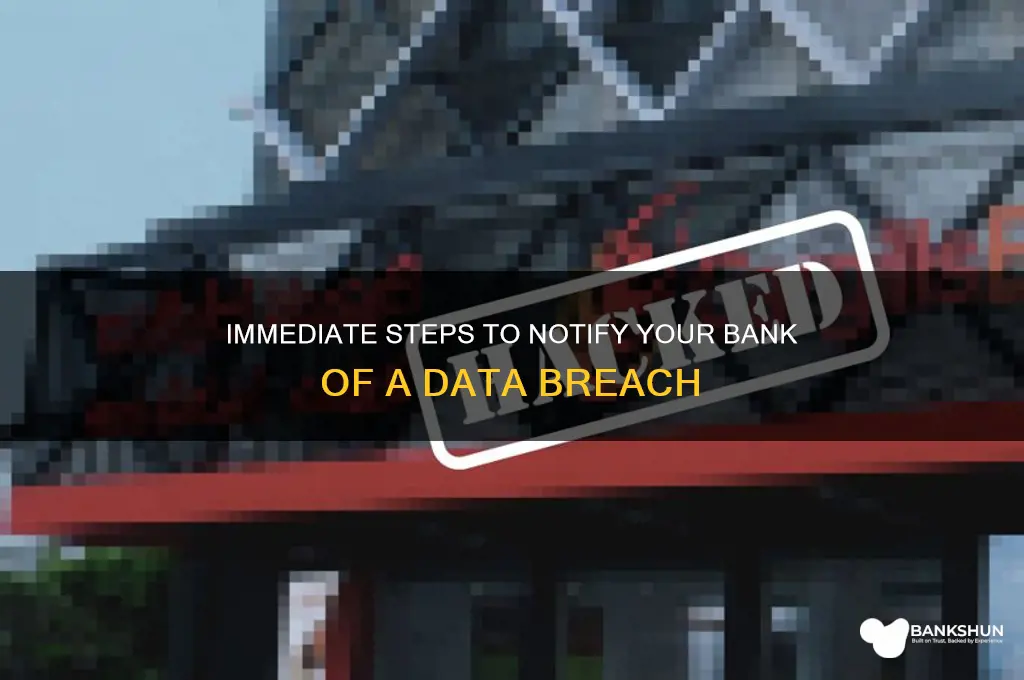how to alerts bank of data breach