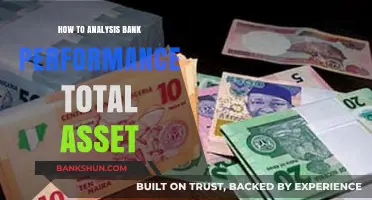 Analyzing Bank Performance: A Comprehensive Guide to Total Asset Evaluation