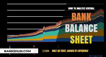 Understanding Central Bank Balance Sheets: A Comprehensive Analysis Guide