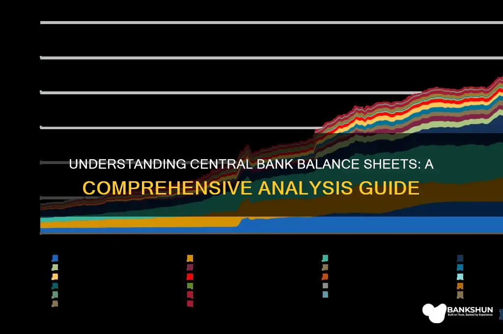 how to analyze central bank balance sheet