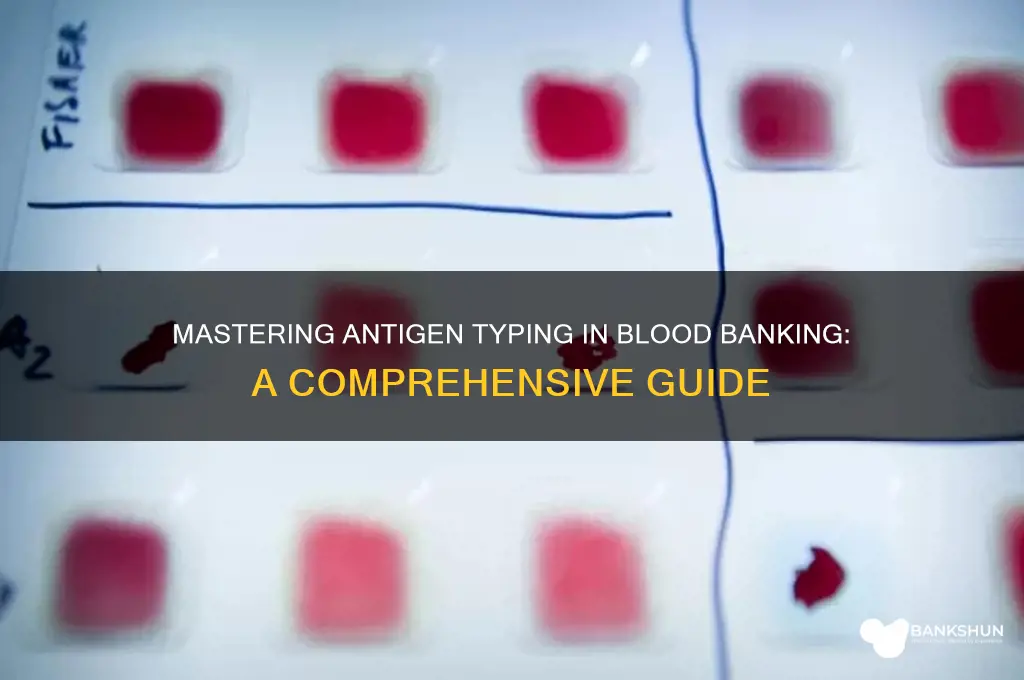 how to antigen type in blood bank