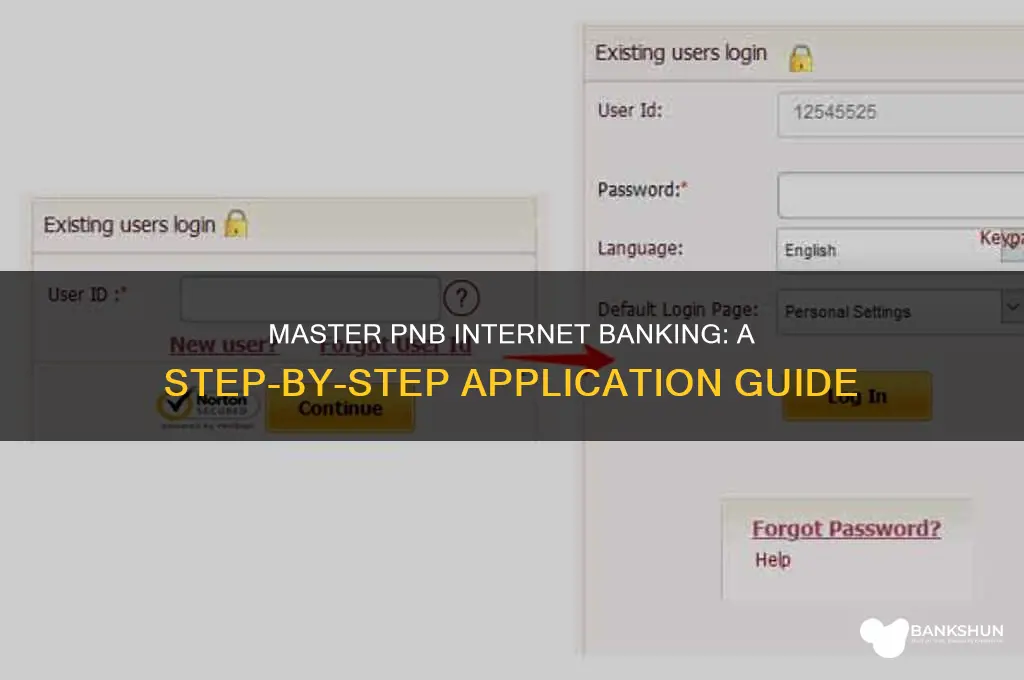 how to apply internet banking in pnb