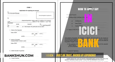 Step-by-Step Guide to Applying for SSY in ICICI Bank