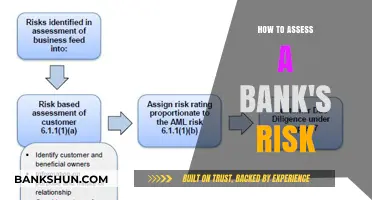 Evaluating Bank Risk: Key Strategies for Comprehensive Financial Assessment