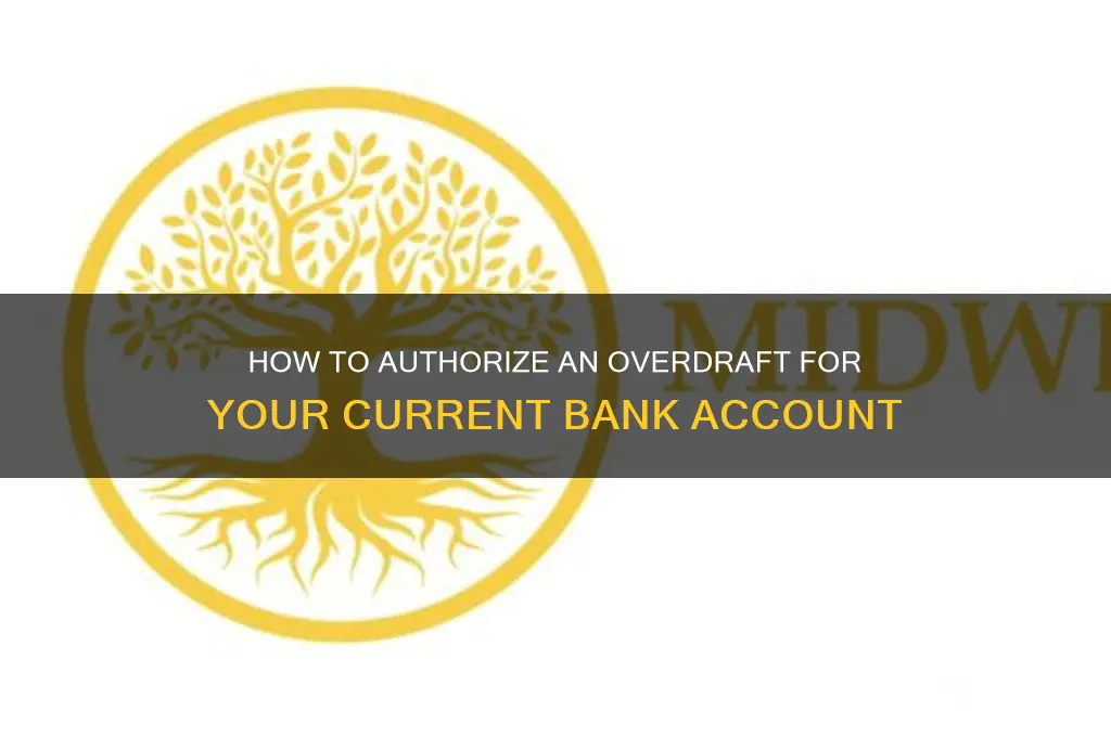 how to authorize a overdraft current bank