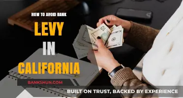 Avoid Bank Levy in California: Essential Strategies to Protect Your Assets