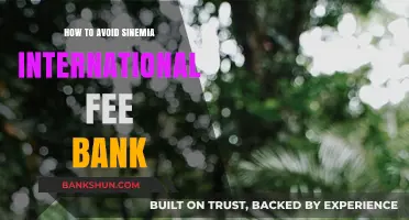 Avoid Sinemia International Fees: Smart Banking Tips for Global Users