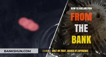 Master Bank Fishing: Techniques to Catch Balloon Fish Successfully