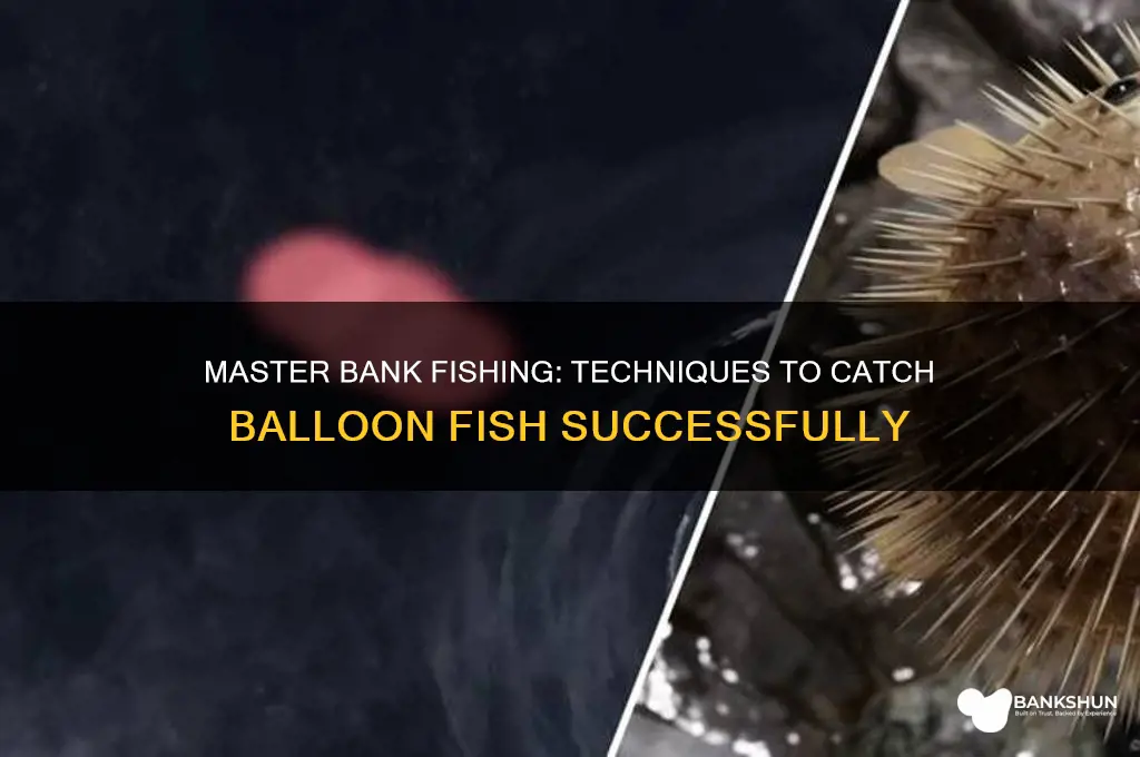 how to ballon fish from the bank